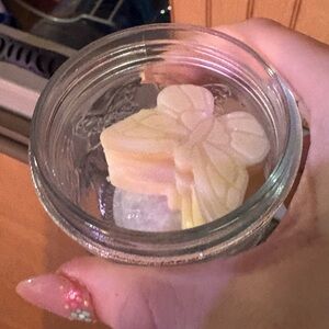 4 sugared snickerdoodle scented handmade wax melts